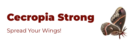 Cecropia Strong