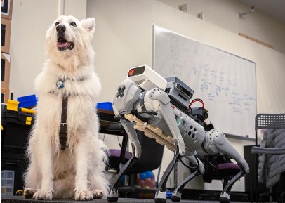 Guide Dog Robot